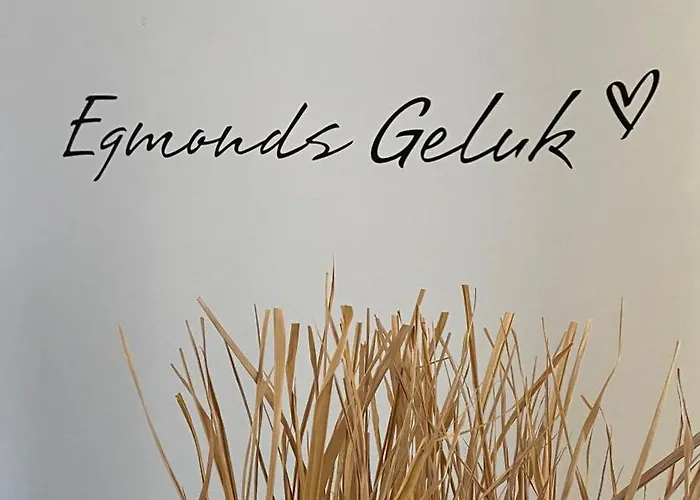 Sterflat 119 Lejlighed Egmond aan Zee